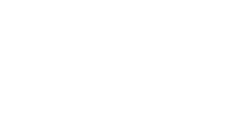 Rogue Pilgrim